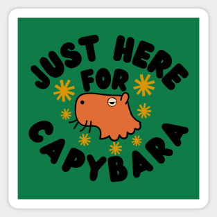 just here for capybara Sticker